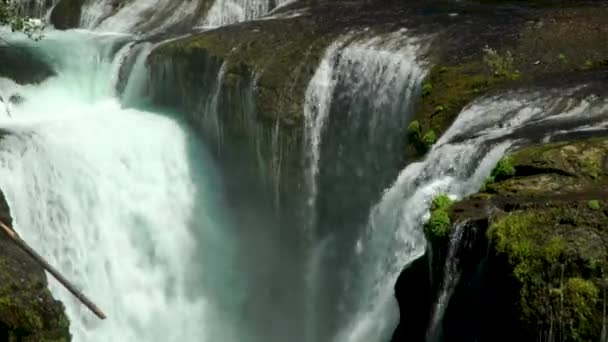 Água Converge Topo Deslumbrante Cachoeira Lower Lewis — Vídeo de Stock