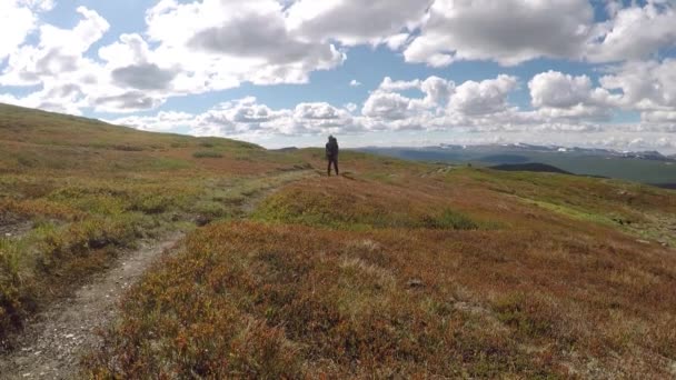 Male Hiker Walking Trail Nordic Alps Sunshine — 비디오