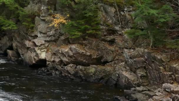 Вода Копає Камінь Крупи Протягом Століть Тепер Тече Його Природних — стокове відео