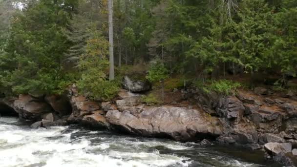 从靠近加拿大野生林地河流风景的地方看到的地球 — 图库视频影像