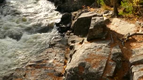 Einde Van Dag Schijnt Het Licht Natuurlijke Rivierzetting Noord Amerika — Stockvideo