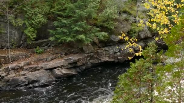 劇的な石で作られた水路を通って動く暗い純粋な野生の川の水 — ストック動画