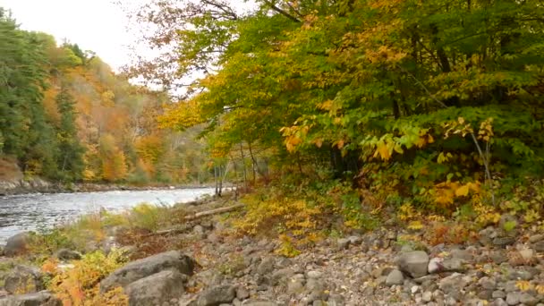 Natura Dipinta Bellissimo Risultato Stagioni Continua Evoluzione Canada — Video Stock