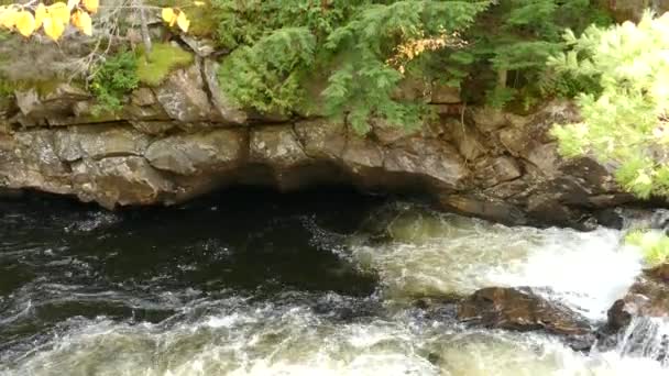 Water Swirl Creating Whirlpool Large Rocks Forming River Shores — Stock Video