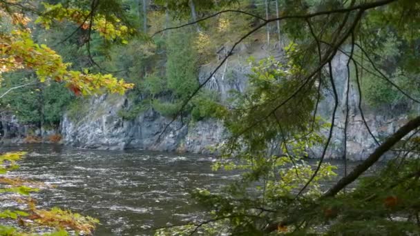 Kijken Buiten Herfst Bossen Onthult Een Prachtige Dramatische Rivier Klif — Stockvideo