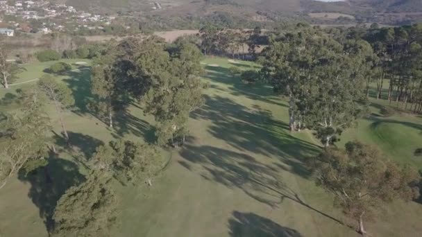 Flight Fairway Trees Fifteenth Hole Knysna Golf Course — ストック動画