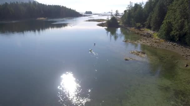 Aerial View Kayakers West Coast — Stockvideo