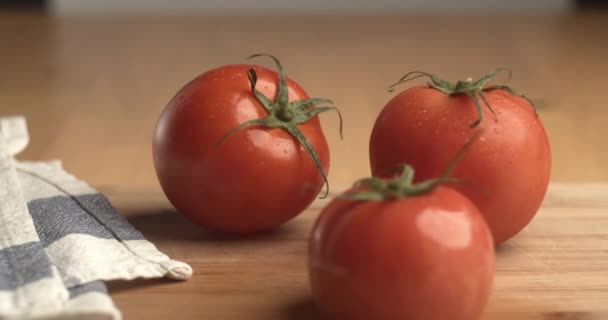Studio Produkt Skott Färska Tomater Med Vatten Droppar Den Och — Stockvideo