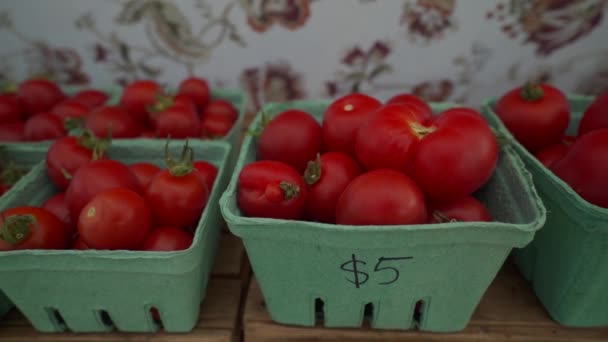 Tomates Cherry Exhibición Vancouver Island Farmers Market — Vídeos de Stock