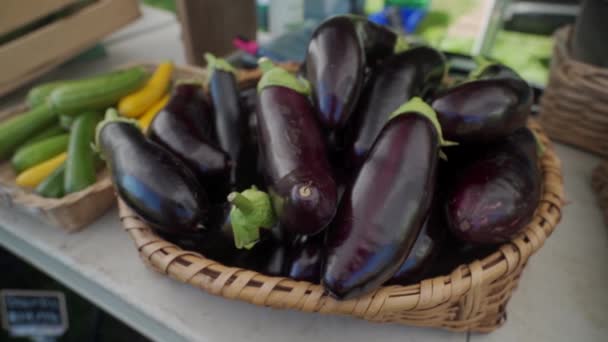 Aubergine Zien Vancouver Island Farmers Market — Stockvideo