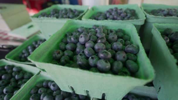 Blueberries Display Vancouver Island Farmers Market — Stock Video