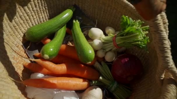 Zeleninový Koš Vancouver Island Farmers Market — Stock video