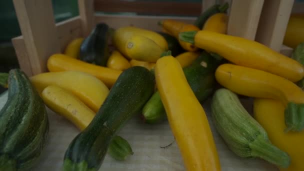 Calabacín Exhibición Mercado Agricultores Locales — Vídeos de Stock