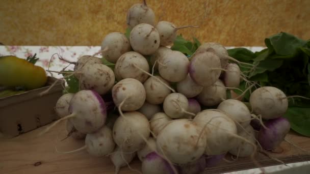 Vancouver Adası Çiftçi Pazarı Nda Salata Turnikeleri Sergileniyor — Stok video