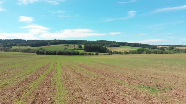 Flying Rural Countryside Agriculture — Video Stock