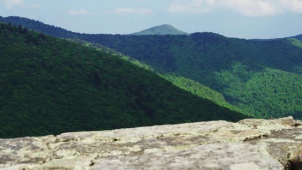 Blue Ridge Parkway Con Camino Piedra Primer Plano — Vídeos de Stock