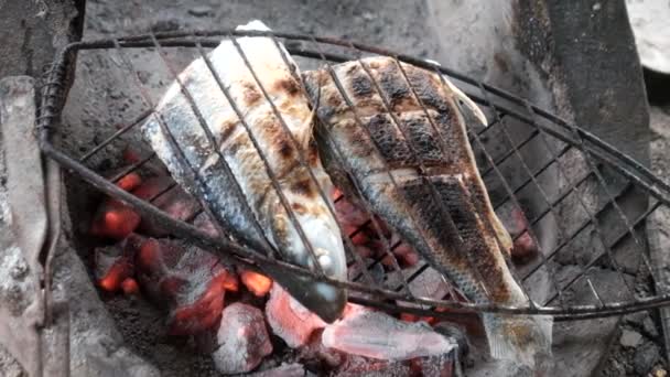 Ψάρι Σχάρα Ψησταριά Μπάρμπεκιου Σφιγκτήρα Ξυλάνθρακα Κλίβανο Στην Επαρχία Των — Αρχείο Βίντεο