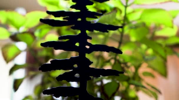Μικρό Γλυπτό Δέντρου Μπροστά Από Φυτό — Αρχείο Βίντεο