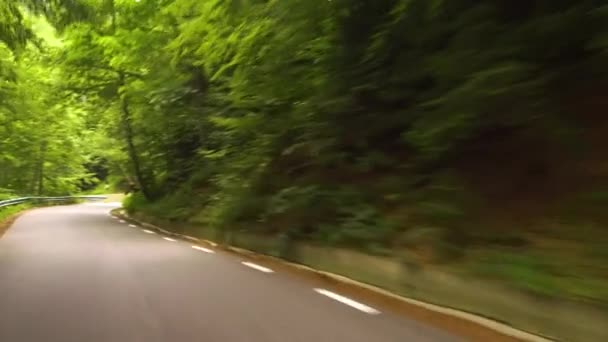 Dirigindo Uma Estrada Sinuosa Uma Floresta Bucegi Mountains Rumania — Vídeo de Stock