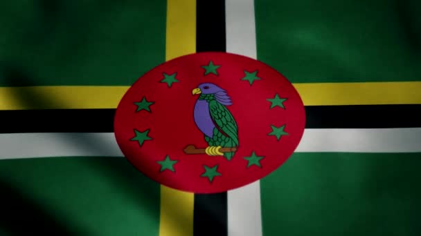 Bandera Dominica Ondeando Cámara Lenta Animación Bucle Ideal Para Eventos — Vídeo de stock
