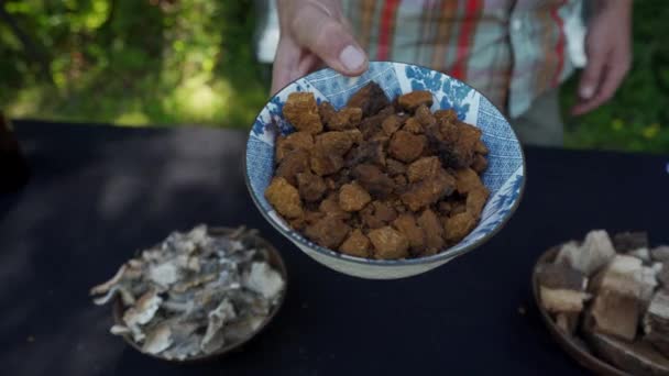 Tigela Pedaços Cogumelos Chaga Depois Ser Pesado Preparando Para Fazer — Vídeo de Stock