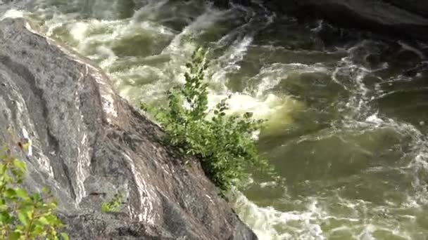 Dirty Green Water Waterfall — Stock video