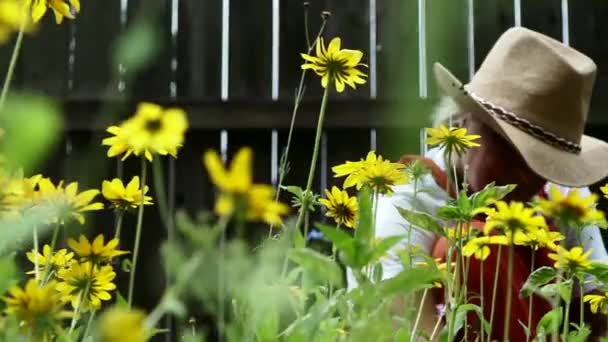 Farm Woman Sitting Removing Weeds Growing Lovely Flowers Black Eyed — Stok Video