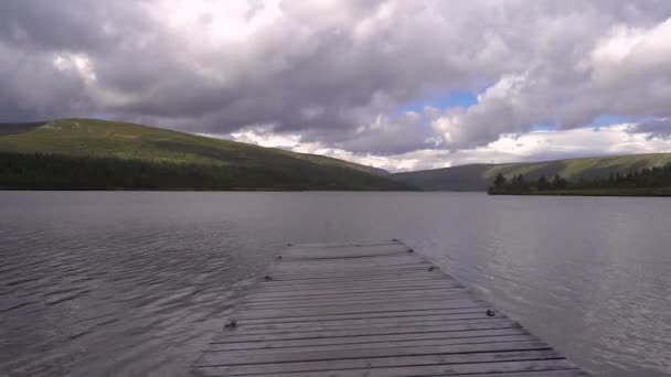스웨덴에 호수를 가리키는 지빠귀 구름낀 여름날 — 비디오