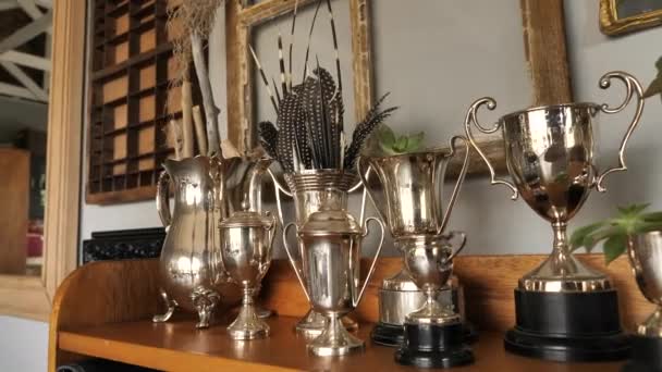 Decoration Trophies South Africa Guineafowl Feathers Porcupine Quills — Stockvideo