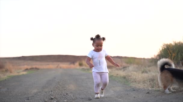 Μικρό Κορίτσι Της Νότιας Αφρικής Τρέχει Ένα Σκυλί Ένα Γκρίζο — Αρχείο Βίντεο