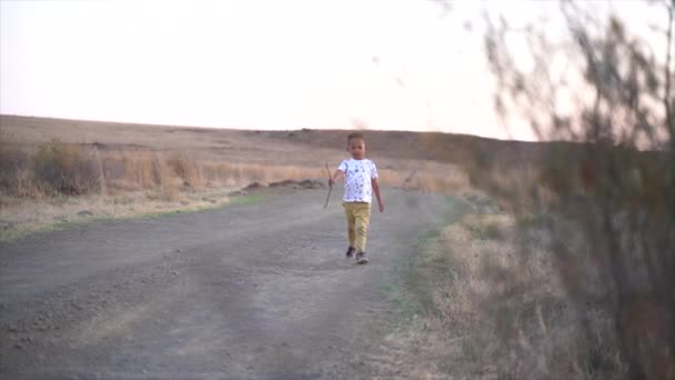 彼の後ろの風景と夕暮れ時に冬の間に国の灰色の砂利道を歩く乾燥した枝を運ぶ南アフリカの少年 — ストック動画