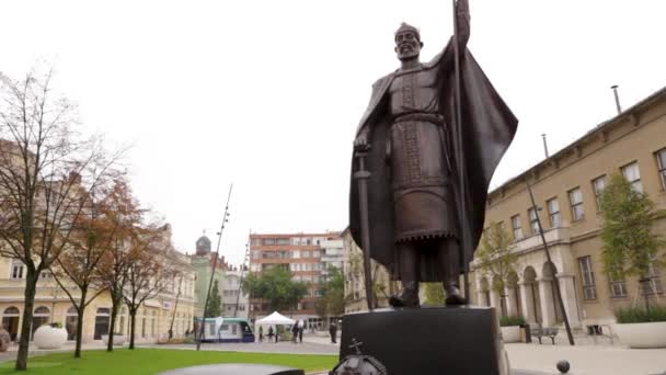 Footage Statue Hungary First King Debrecen Square Canon Mark — Wideo stockowe