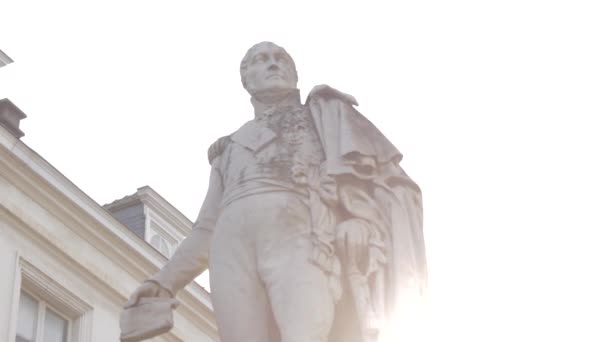 Belle Statue Regardant Loin — Video