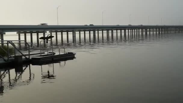 Time Lapse Del Lago Harris Tavares Florida Usa Con Highway — Video Stock