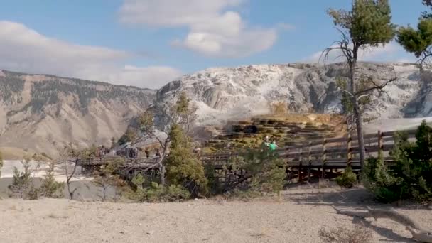 Mammoth Hot Springs Yellowstone National Park Timelapse Tourists Boardwalks Passing — Stock Video