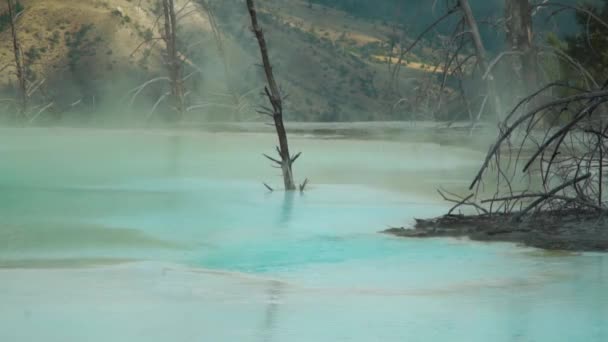 Mamut Kaplıcaları Yellowstone Ulusal Parkı Güzel Bir Deniz Manzarası Buharlı — Stok video