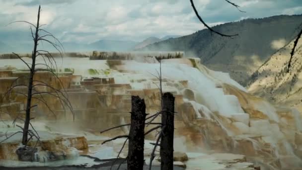 Mammoth Hot Springs Yellowstone National Park Slow Pan Upper Terraces — Stock Video