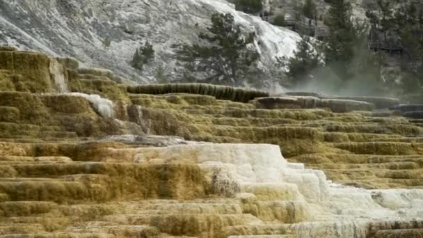 Mamut Kaplıcaları Yellowstone Ulusal Parkı Soğuk Rüzgarlı Bir Günde Sıcak — Stok video