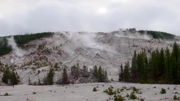 Upływ Czasu Ryczącą Górę Kotlinie Gejzerów Norris Parku Narodowym Yellowstone — Wideo stockowe