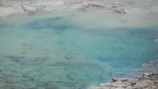 Dampfende Aquablaue Kristallklare Vulkanische Quellen Norris Geysirbecken Des Yellowstone Nationalparks — Stockvideo