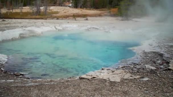 Steamy Turquoise Blue Crystal Clear Boiling Volcanic Springs — Video Stock