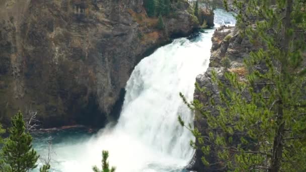 Grand Canyon Yellowstone National Park Upper Waterfall — Vídeo de Stock