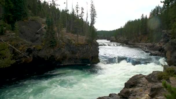 Rivière Grand Yellowstone Traverse Les Canyons Dessus Cascade Supérieure Parc — Video