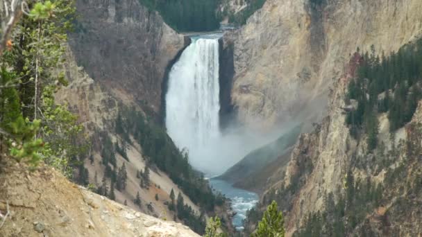 Grand Canyon Parque Nacional Yellowstone Lower Falls Tiro Médio Largura — Vídeo de Stock