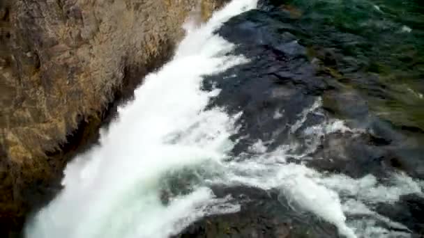 Donderende Rivier Aan Rand Van Bovenste Watervallen Yellowstone National Park — Stockvideo