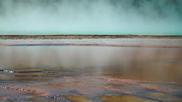 Vařící Horká Voda Barevné Řasy Nádherných Grand Prismatic Hot Springs — Stock video