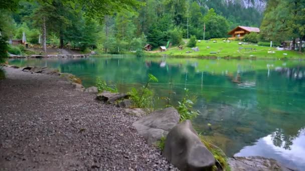 Jest Bliskie Ujęcia Blausee Spaceruję Obok Niego Leci Przede Mną — Wideo stockowe