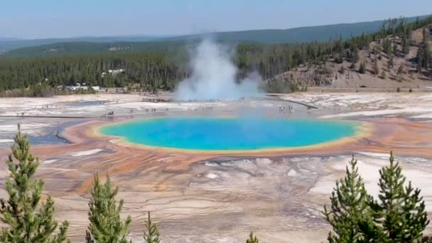 Timelapse Overlook Colorful Grand Prismatic Spring Yellowstone National Park Noon — Stock Video