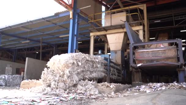 Versnippermachine Met Versnipperde Kartonnen Dozen Recyclinginstallatie — Stockvideo