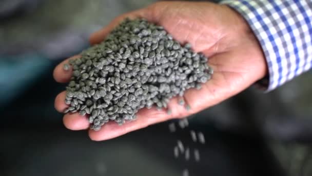 Cinematografische Opname Van Grijze Gerecycleerde Plastic Pellets Die Uit Hand — Stockvideo